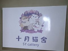 -十月米努特矮脚猫舍