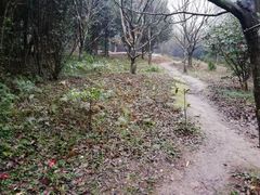 -普陀山风景区-佛顶山