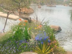 -罗红摄影艺术馆