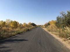 -亿利库布其七星湖沙漠生态旅游区