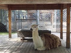 -长白岛森林公园