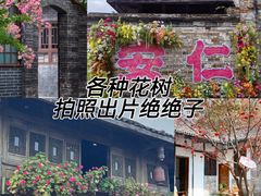 -安仁古镇