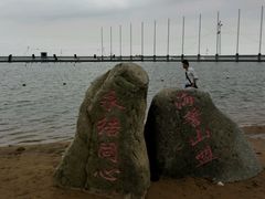 -碧海金沙