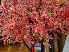 -CGV影城(壹方城IMAX店)