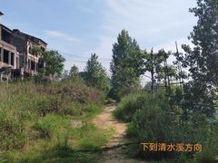 -南山植物园