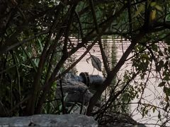 -济南大明湖景区