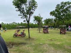 -上海海湾国家森林公园