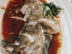 -湖锦酒楼·旗舰店(三阳总店)