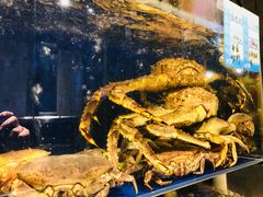 帝王蟹-烧货·活海鲜炭烧(湖滨商业街店)