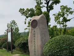 -合肥滨湖国家森林公园