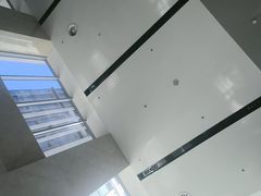 -大望京公园