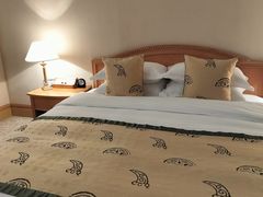 -南京维景国际大酒店(南京博物院店)