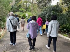 -墨尔本皇家植物园
