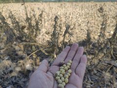 -汉长安城未央宫国家考古遗址公园