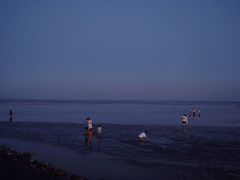 -南汇嘴观海公园