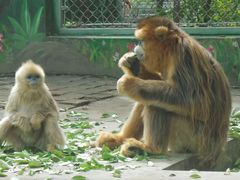 -西安秦岭野生动物园