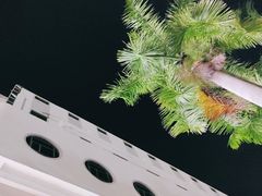 -至尊名仕·中泰按摩·养生SPA会所