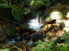 -海南热带雨林国家公园吊罗山景区