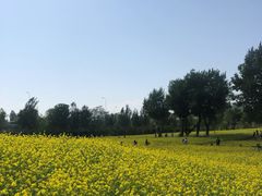 -长白岛森林公园