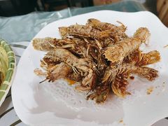 -东鸽皇(奥园·中环广场店)