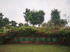 门面-眉山湿地公园(东坡区)