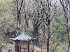 -香炉山国家森林公园