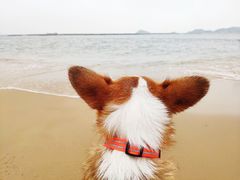 -珠海金沙滩