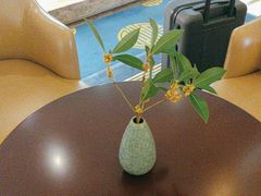 -福建鲤鱼洲酒店