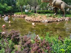 -北京野生动物园