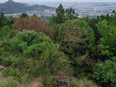 -灵岩山风景区
