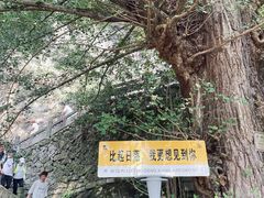 -大慈岩风景区