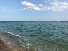 -珍宝海鲜(东海岸海鲜中心)