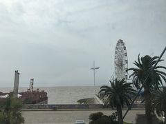 -上海棕榈滩海景酒店