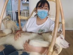 -Husky Go! 哈士奇体验馆·宠物咖啡厅狗咖