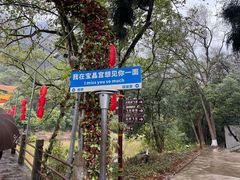-宝晶宫旅游景区