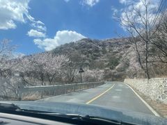 -妙峰山风景名胜区