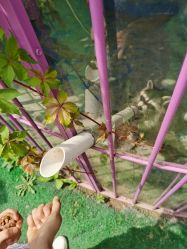 -萌宠亲子动物乐园(槐房万达店)