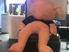-FEELINGME乐刻私教馆·健身(沿海赛洛城店)