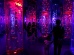 -梦幻海洋王国(吾悦广场张家港店)