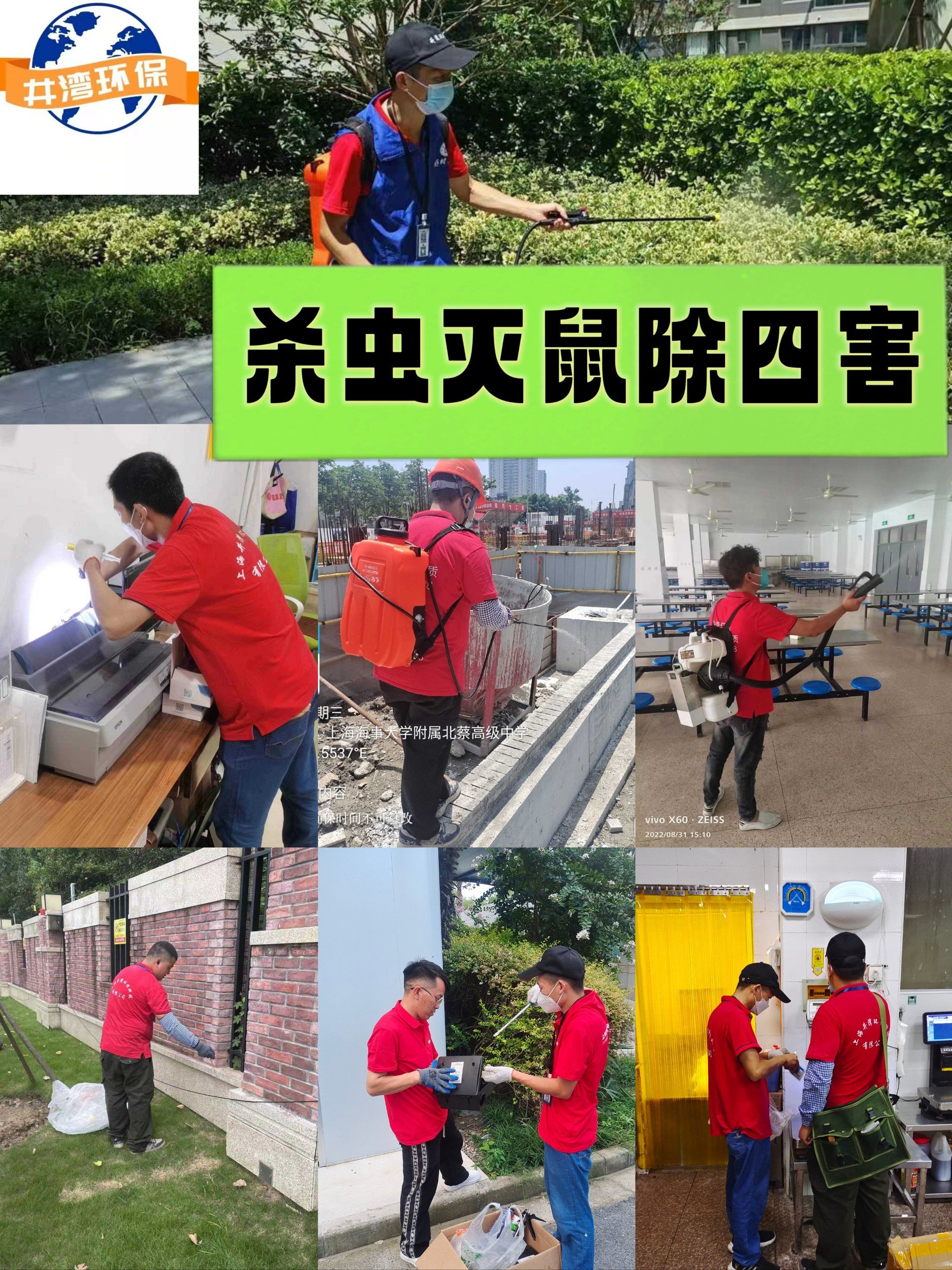 上门抓老鼠 抓蝙蝠 灭鼠除虫 快速灭苍蝇蚊子