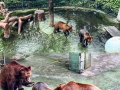 -深圳野生动物园