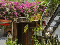 -Cuc Gach Quan Restaurant