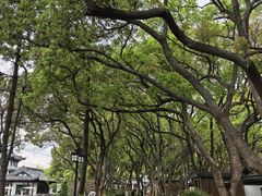 -无锡蠡湖国家湿地公园-蠡园