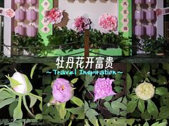 -仁和公园(顺义区)