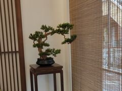 -静雅推拿(鹭洲里店)