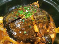 红烧甲鱼-董厨煨汤馆(车站路店)