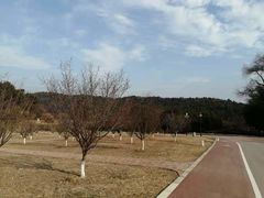 -龙寺生态园