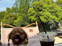 -J Create城市露营咖啡·简餐·宠物(上海动物园店)