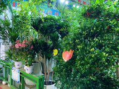 -朝来春花卉市场