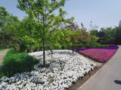-上海滨江森林公园